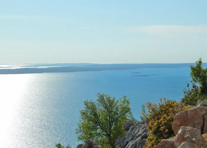 Matilda * 스타리그라드 파클레니차